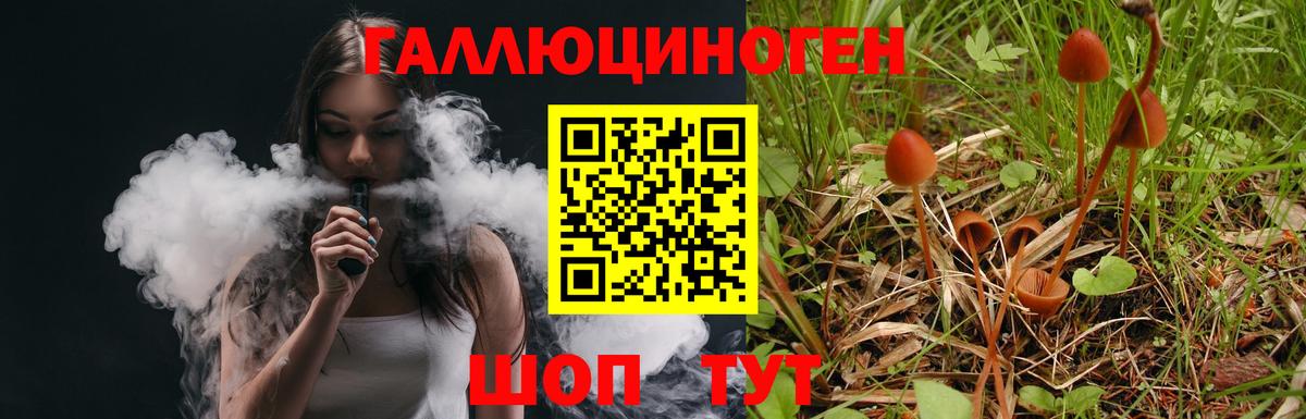 наркотики  Галлюциногенные грибы GOLDEN TEACHER  Вход с VPN  Советская Гавань 